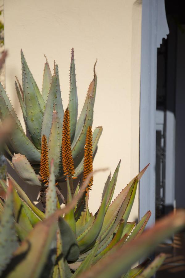 Riad Les Hirondelles Boutique Hotel Marrakesh Exterior foto